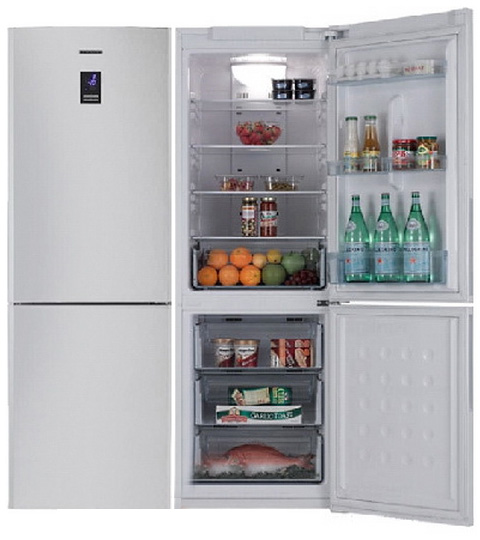 Samsung rl 34. Холодильник самсунг rl34scsw. Холодильник самсунг ноу Фрост rl34scsw. Samsung RL-34 EGSW. Samsung RL-40 SCSW.