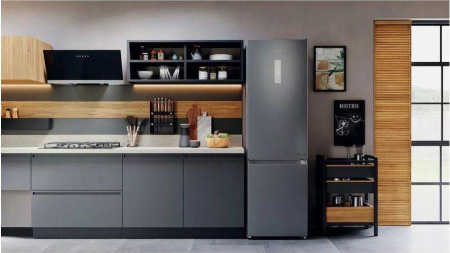 Холодильник Hotpoint-Ariston HTW 8202I MX [2, No Frost]
