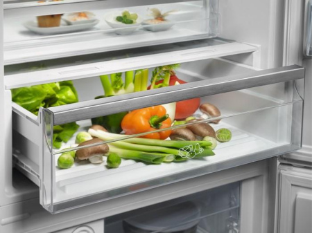 Холодильник Electrolux RNT7MF46X2 [2, No Frost]