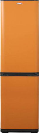 Холодильник Бирюса T649