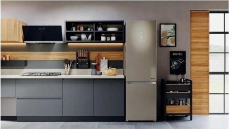 Холодильник Hotpoint-Ariston HTR 8202I BZ O3 [2, No Frost]