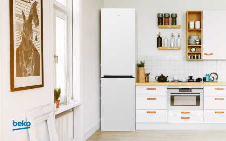 Холодильник Beko CSKR 5335 M20W [2, капельное]