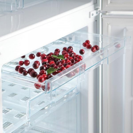 Холодильник Snaige RF57SG-P5002F0D91