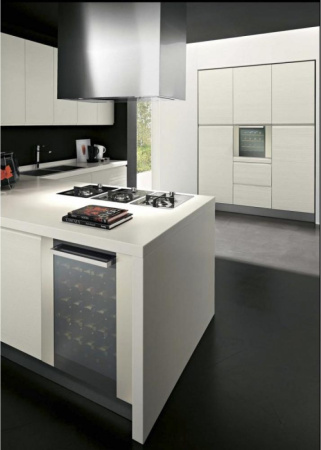 Винный шкаф Indel B BUILT-IN 36 HOME PLUS [2]