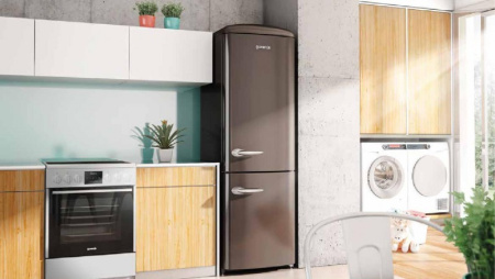 Холодильник Gorenje ORK192CH [2, капельное]